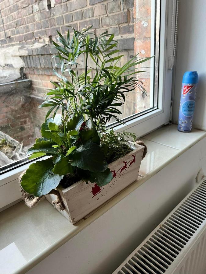 Wohnung 18 Lutherstadt Eisleben Eksteriør bilde